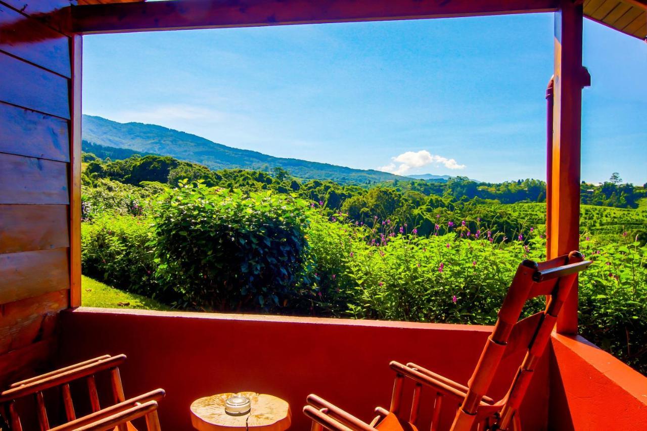 Hotel Mango Valley Гресия Экстерьер фото